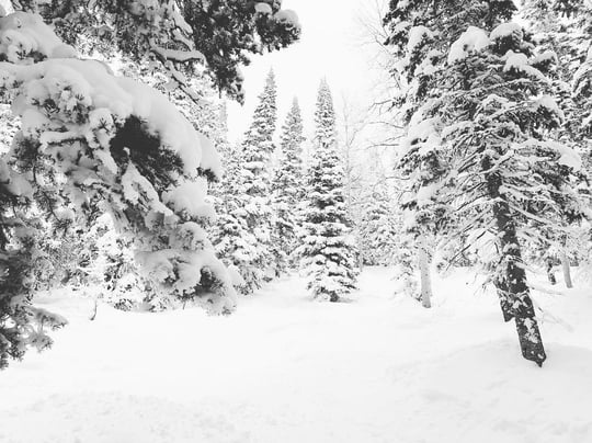 Presidents Day Weekend Activities in Aspen