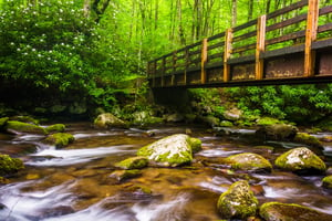 Cascades and walking bridge over the Oconaluftee River, at Great Smoky Mountains National Park, North Carolina.-1