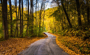 Early autumn color on a road in rural Baltimore County, Maryland